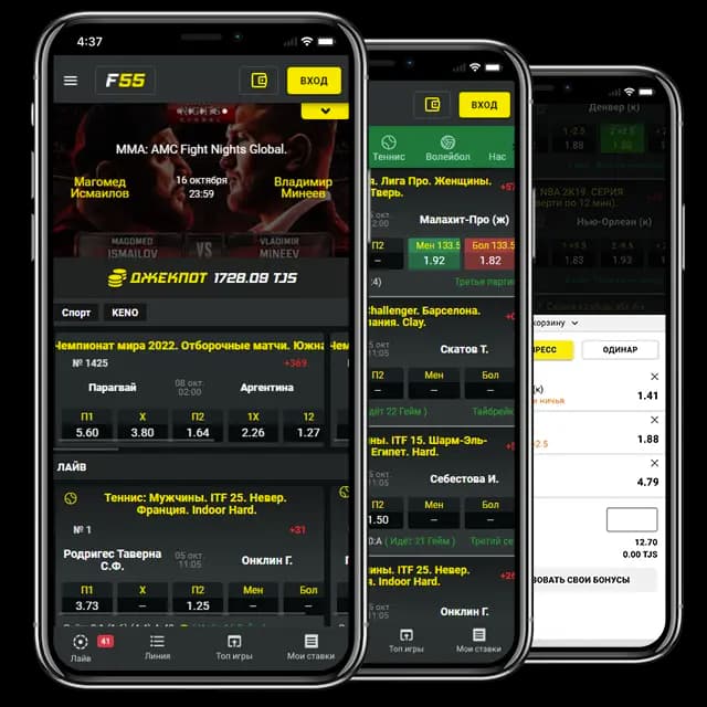 Mobile Application Preview